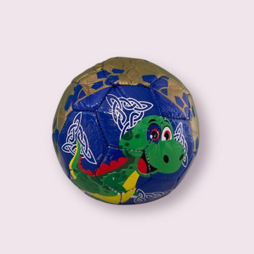 Ballon de football