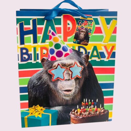 Sac cadeau