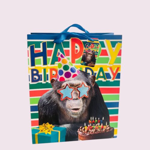 Sac cadeau